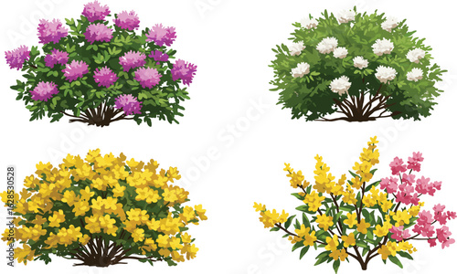 Colorful flowering shrubs vector set, spring garden bushes with white, pink, purple, yellow blossoms, decorative landscaping foliage, floral nature elements illustration