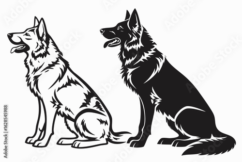 Two german shepherd dogs sitting side by side in black and white outline and silhouette