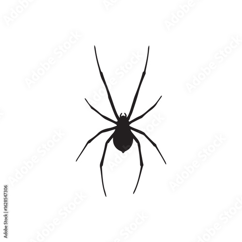 Fotografie Spider black widow silhouette vector flat illustration design on white backgroun