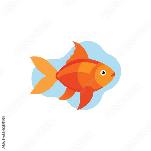 goldfish on white background