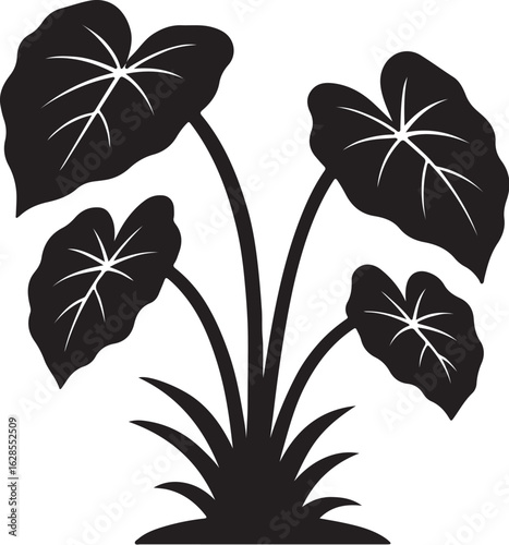 sapling vector art  কচুগাছ