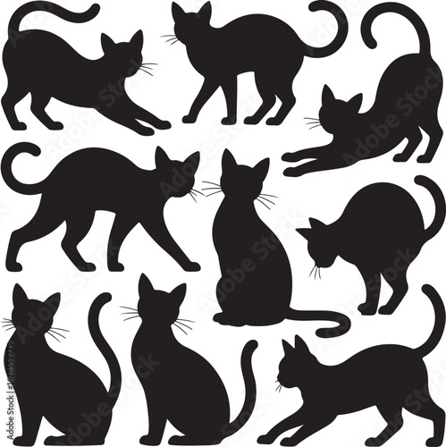 Set of black cat silhouette icons. Vector illustration of domestic felines in different dynamic and static poses.