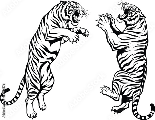 Two tigers in a dynamic fighting stance silhouette