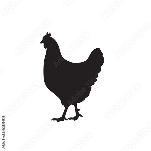 Black silhouette of a standing chicken