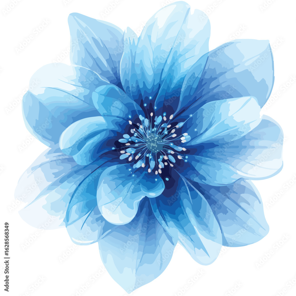 Obraz premium Blue Flower on White Background