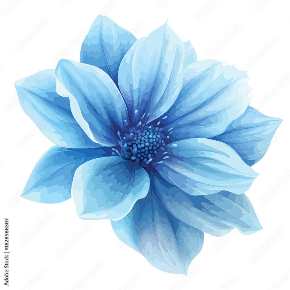 Obraz premium Blue Flower on White Background