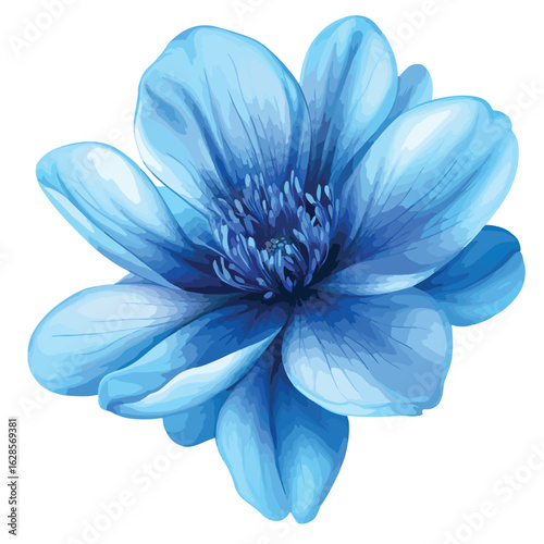 Blue Flower Masterpiece on White Background