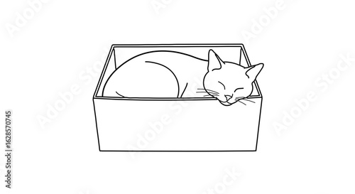 Sleeping cat in a box vector illustration adorable feline pet drawing cute kitten in cardboard container art 100