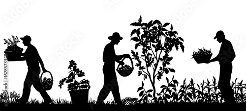 Farmer silhouette vector of harvesting crops and carrying baskets in agriculture scene