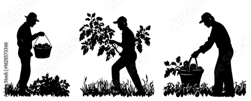 Farmer silhouette vector set harvesting vegetables with baskets in crop field environment