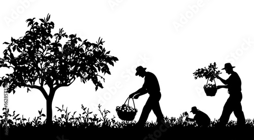 Farmer silhouette vector scene with crop collection under trees and field harvesting