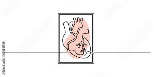 Heart on a white background. Human organ in one continuous line art style. Single line art human heart anatomy. Vector illustration