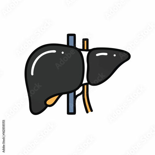A stylized anatomical illustration of a healthy human liver, depicting its vital role in the body's overall well-being and detoxification processes.