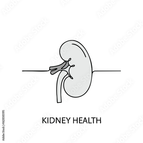 This minimalist line art illustration beautifully depicts a healthy human kidney, symbolizing vital organ function and overall well-being.