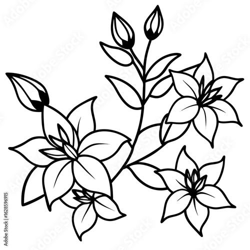 Elegant black and white line art illustration of blooming flowers and buds on a branch