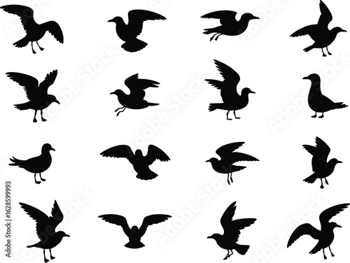 Bird Silhouettes in Varied Poses – Wings Spread, Perching, Mid-Flight, and Gliding Formations Captured in Minimalist Vector Illustrations