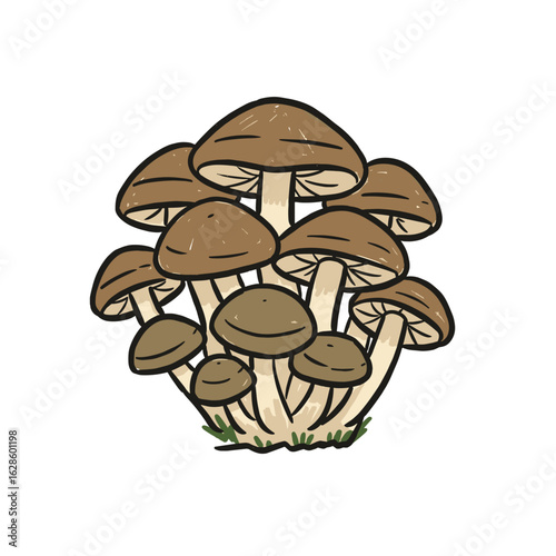 Cluster of brown mushrooms growing on green grass  