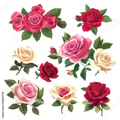Vibrant Rose Bouquets Collection