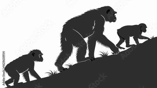 Monkey and ape family silhouettes walking uphill. Wildlife, nature, challenge, progress, growth, and journey concept.