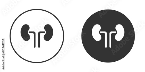 Kidney icons pack. vector glyph flat icons