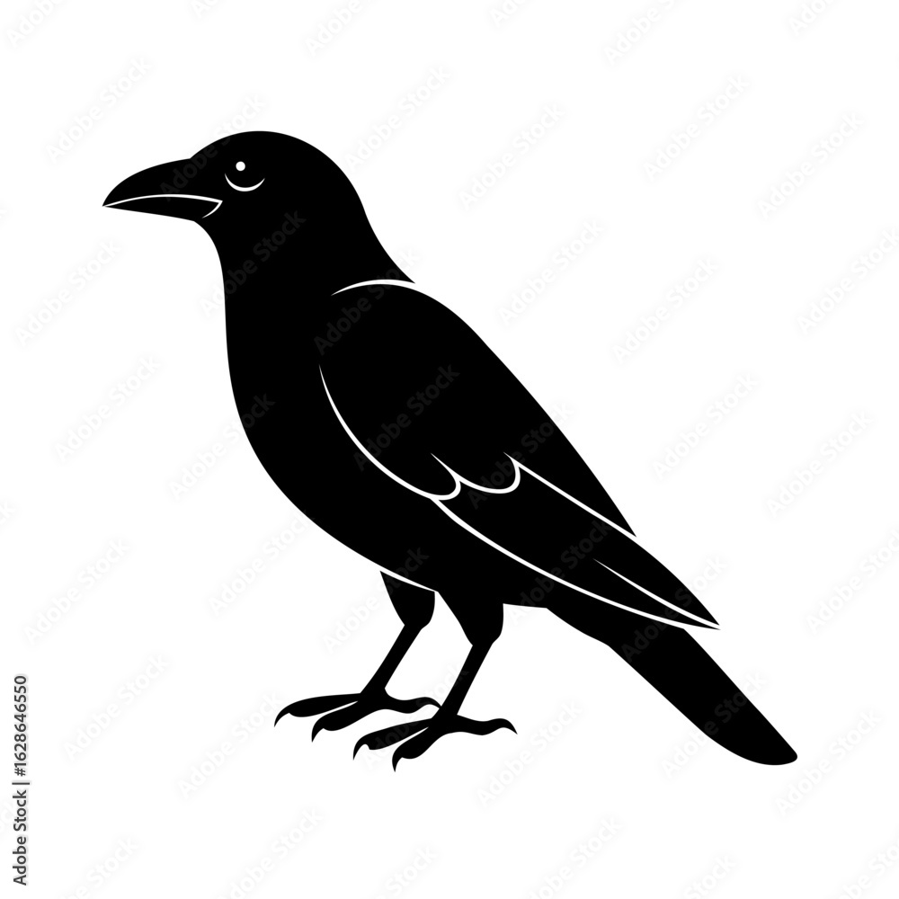 Fototapeta premium Silhouette a crow perched on bird animal