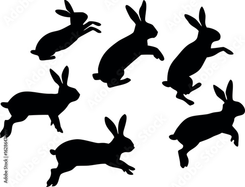 Silhouettes of jumping and running rabbits in various poses