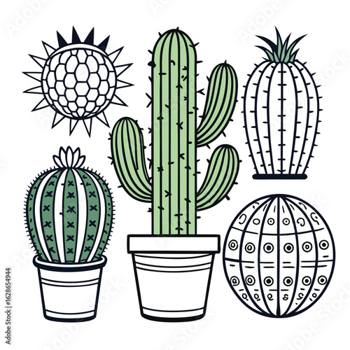 Cactus garden collection in outline vector style ? various succulent types.