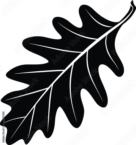Black oak leaf silhouette with veins white vector