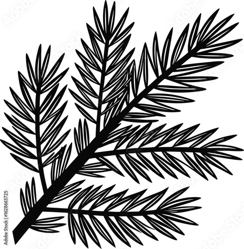 Black pine branch with needles silhouette nature