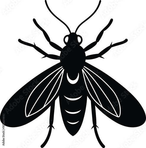 insect proboscis on white background.eps
