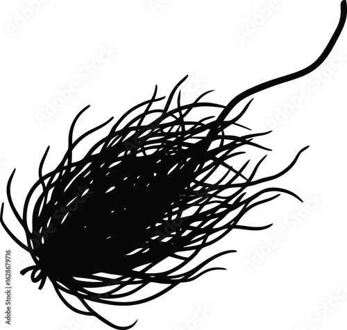 saffron thread on white background.eps