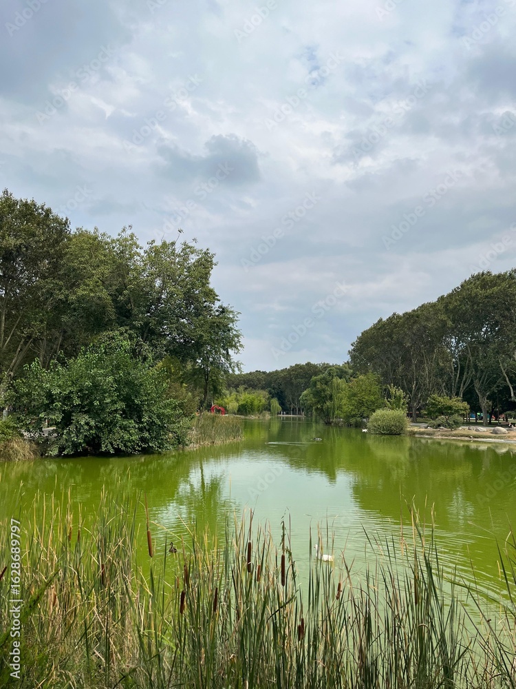 Fototapeta premium landscape with river