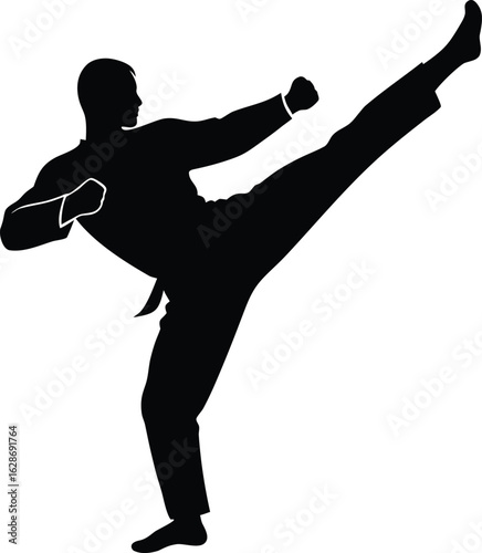 black silhouette a karate fighter kicking on white.eps