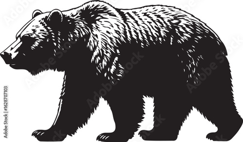 Tableau sur toile Kodiak Bear Vector Silhouette