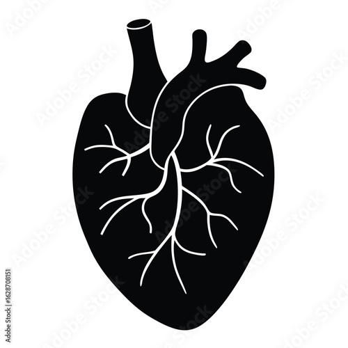 Stylized black human heart with white veins illustration