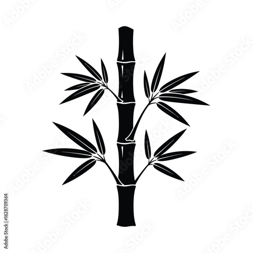 Vector art of bamboo plant with leaves isolated on white background