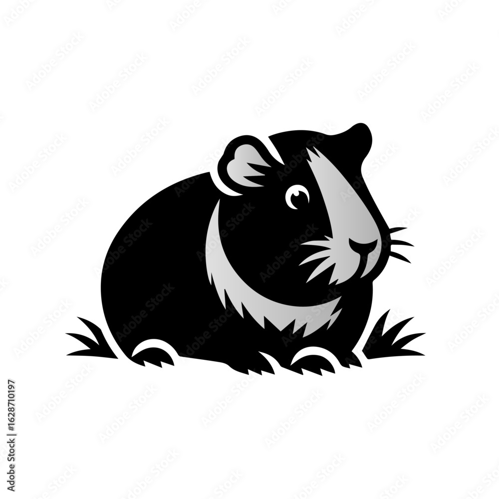 Fototapeta premium vector illustration of a black Guinea