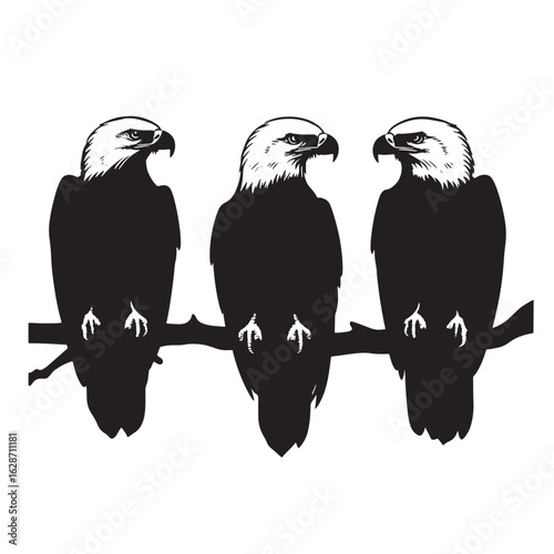 Four eagles ascend together, their silhouettes stark against the blank sky, a transparent background