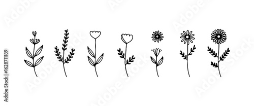 Stylized Garden Bloom Outline. A refined flower sketch with rounded petals and subtle curves.