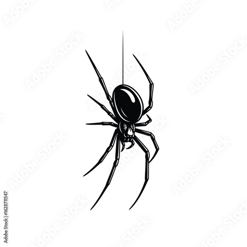 Vector art of black widow spider hanging on a silk thread isolated on white background