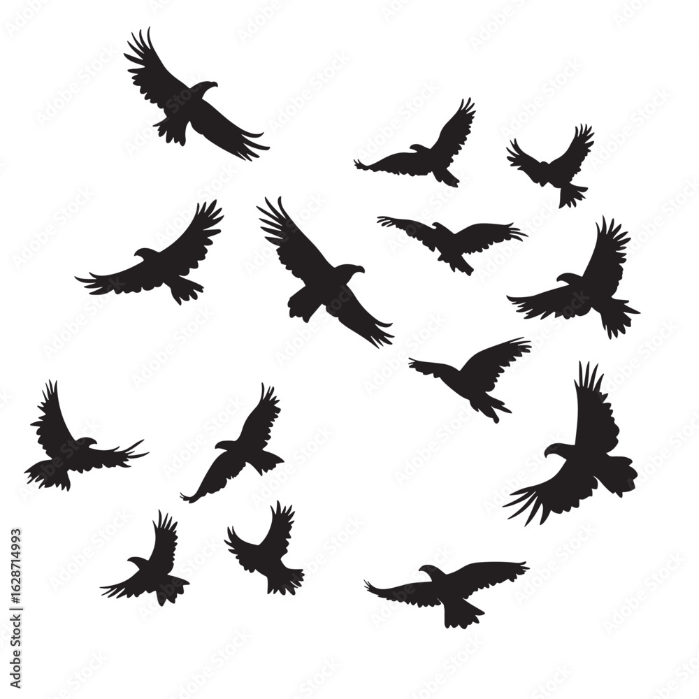 Obraz premium Two eagles soar majestically, their silhouettes contrasting beautifully against the transparent background