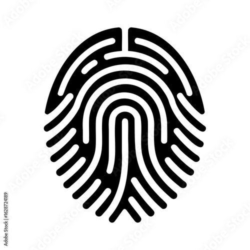 Understanding Fingerprint Identification A Deep Dive Into Biometric Security and Pattern Recognition