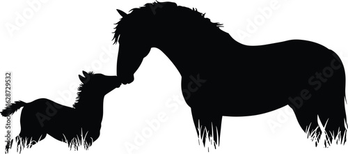 Silhouette of foal nuzzling adult horse, animal affection, bonding moment, black white art, equine love, pasture scene, gentle interaction