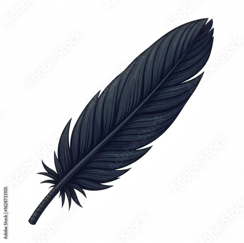 Black feather