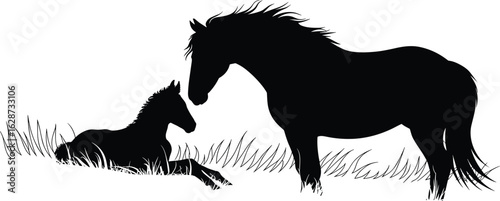 Silhouette of two horses, standing and lying down, grassy field, foal and adult interaction, black white nature art, animal bonding