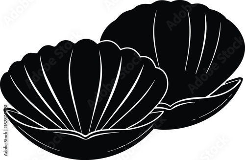 Silhouette of Clam Shells Open Under Sunlight