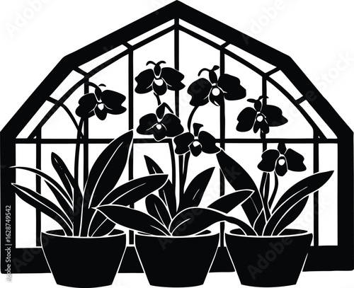 Silhouette of Orchid Collection in Greenhouse