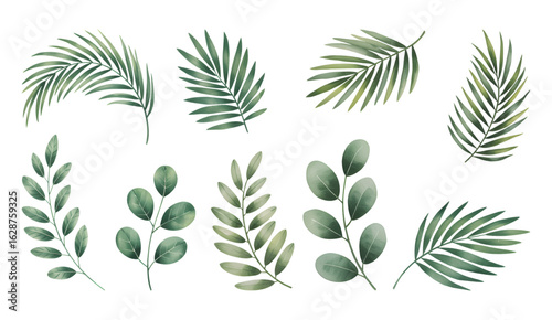 Watercolor greenery collection  palm and eucalyptus branches. Botanical tropical palm and eucalyptus leaf isolated on white background.