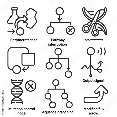 Genetic Pathway Icons. Outline style icons of Genetic Pathway Editing: enzyme reaction path, pathway interruption, multi-gene
