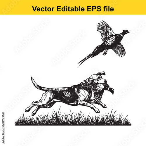 Bloodhound Vintage Black & White Hunting Dog Illustration with Pheasant – Standing, Jumping, and Hunting Pose
